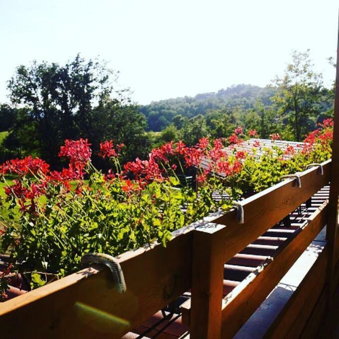 Ca' Del Cuco Bed & Breakfast Barzana Luaran gambar